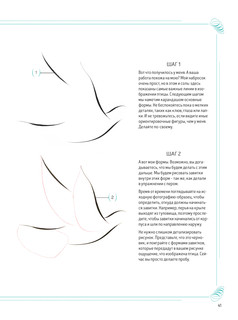 Каллиграфический рисунок. Пособие для начинающих 5