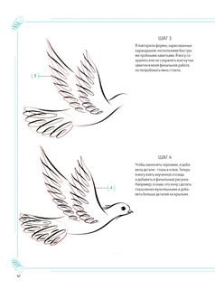 Каллиграфический рисунок. Пособие для начинающих 6
