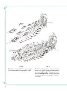 Каллиграфический рисунок. Пособие для начинающих 7