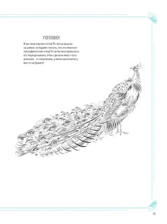 Каллиграфический рисунок. Пособие для начинающих 8