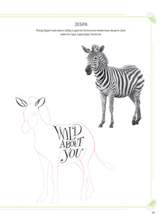 Каллиграфический рисунок. Пособие для начинающих 9