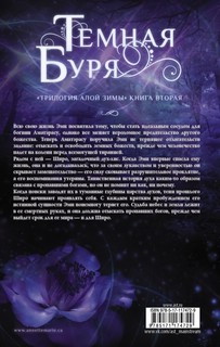 Темная буря 17
