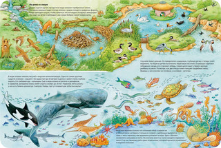 Мир животных 3