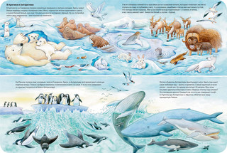 Мир животных 4