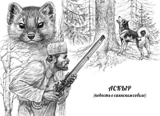 Лесными тропами 2