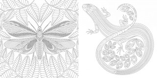 Божественные создания. Золотая коллекция любимых иллюстраций 3