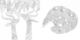 Божественные создания. Золотая коллекция любимых иллюстраций 6