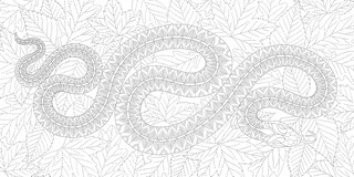 В волшебном лесу 5