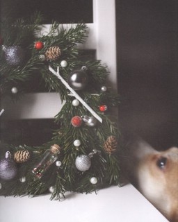 Новогодние истории. Рецепты праздника 5