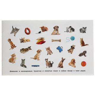 Пушистые и лохматые. Альбом наклеек 3