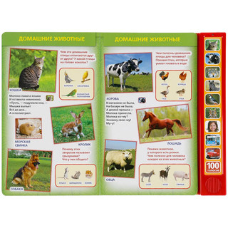 100 голосов окружающего мира (10 звуковых кнопок, 100 звуков) 2