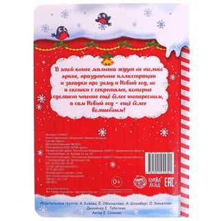 Книга с окошками 'Зимние загадки' 6