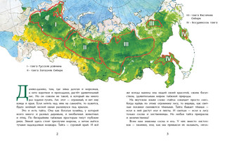Тайга. Удивительный лес 2