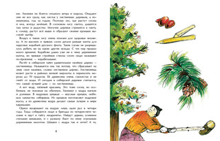 Тайга. Удивительный лес 3