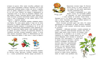 Тайга. Удивительный лес 4