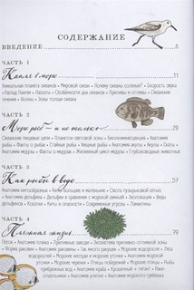 Анатомия океана. Занимательные детали жизни подводного мира 2