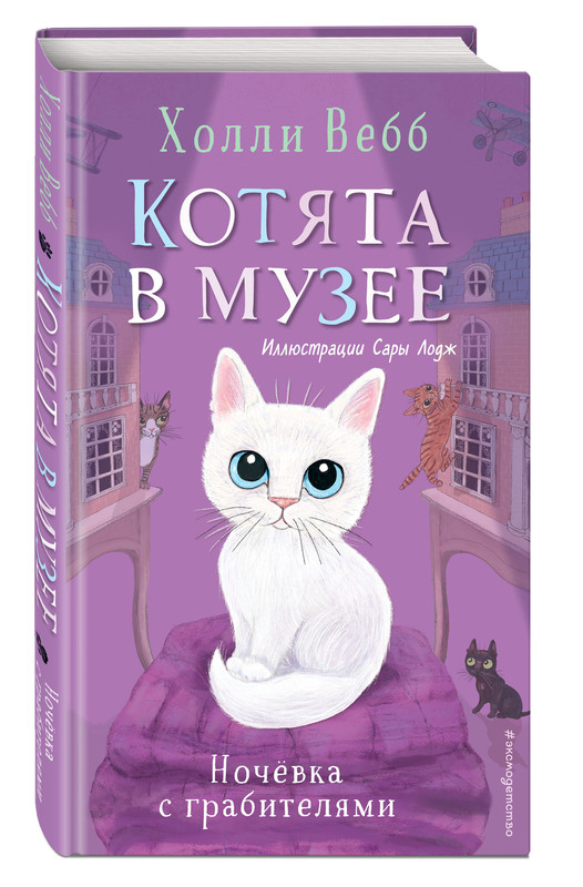 Ночёвка с грабителями. Котята в музее