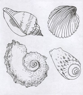 Я люблю раскрашивать океаны чудес 4