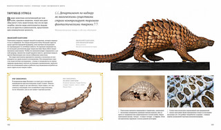 Фантастические твари. Природа чудес волшебного мира 2