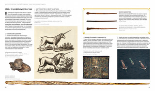 Фантастические твари. Природа чудес волшебного мира 4