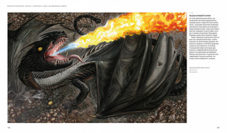 Фантастические твари. Природа чудес волшебного мира 6