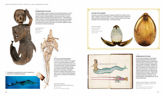 Фантастические твари. Природа чудес волшебного мира 7