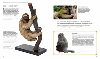 Фантастические твари. Природа чудес волшебного мира 8