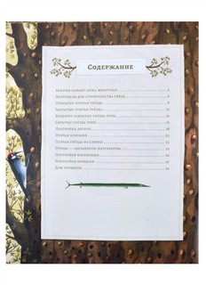 Животные-строители 2