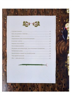 Животные-строители 3