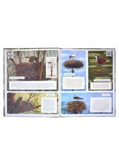 Животные-строители 7