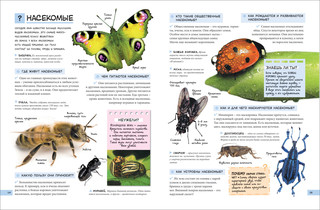 Большой подарок школьнику 3