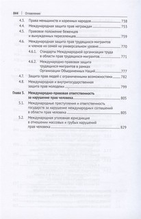 Международная и внутригосударственная защита прав человека. Учебник 9