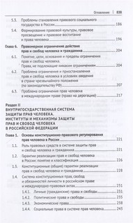 Международная и внутригосударственная защита прав человека. Учебник 4