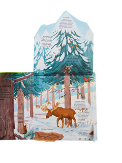 Секреты леса 2