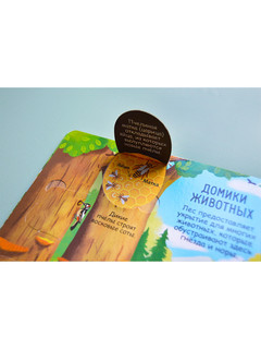 Секреты леса 3