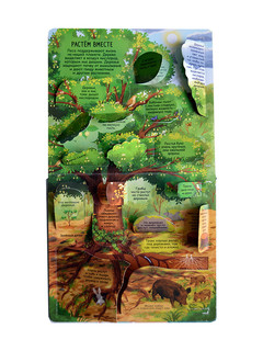 Секреты леса 5