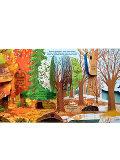 Секреты леса 7