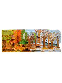 Секреты леса 8