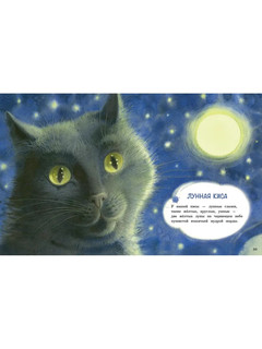 Акварельные коты 6