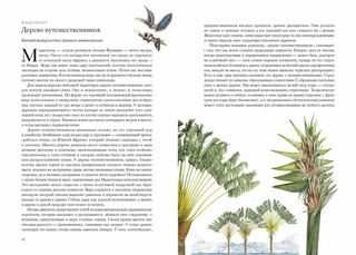 Вокруг света за 80 деревьев 4