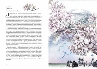 Вокруг света за 80 деревьев 5