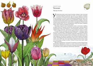 Вокруг света за 80 растений 2