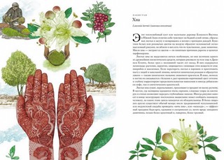 Вокруг света за 80 растений 5