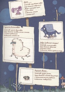 Класс отправляется в полёт! 4