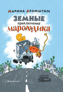 Земные приключения Марсоходика 1