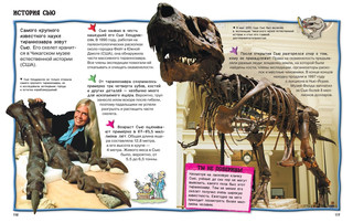 Всё о динозаврах 4