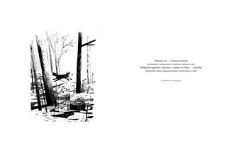 Пакс. Дорога домой 2