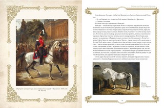 Лучшие истории о лошадях. Рыжие, гнедые, вороные 5