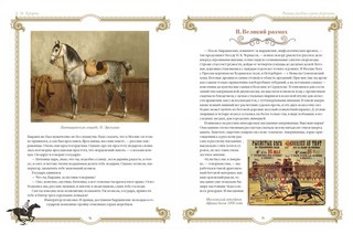 Лучшие истории о лошадях. Рыжие, гнедые, вороные 6