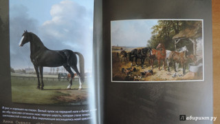 Лошади. Старинные открытки и иллюстрации 10